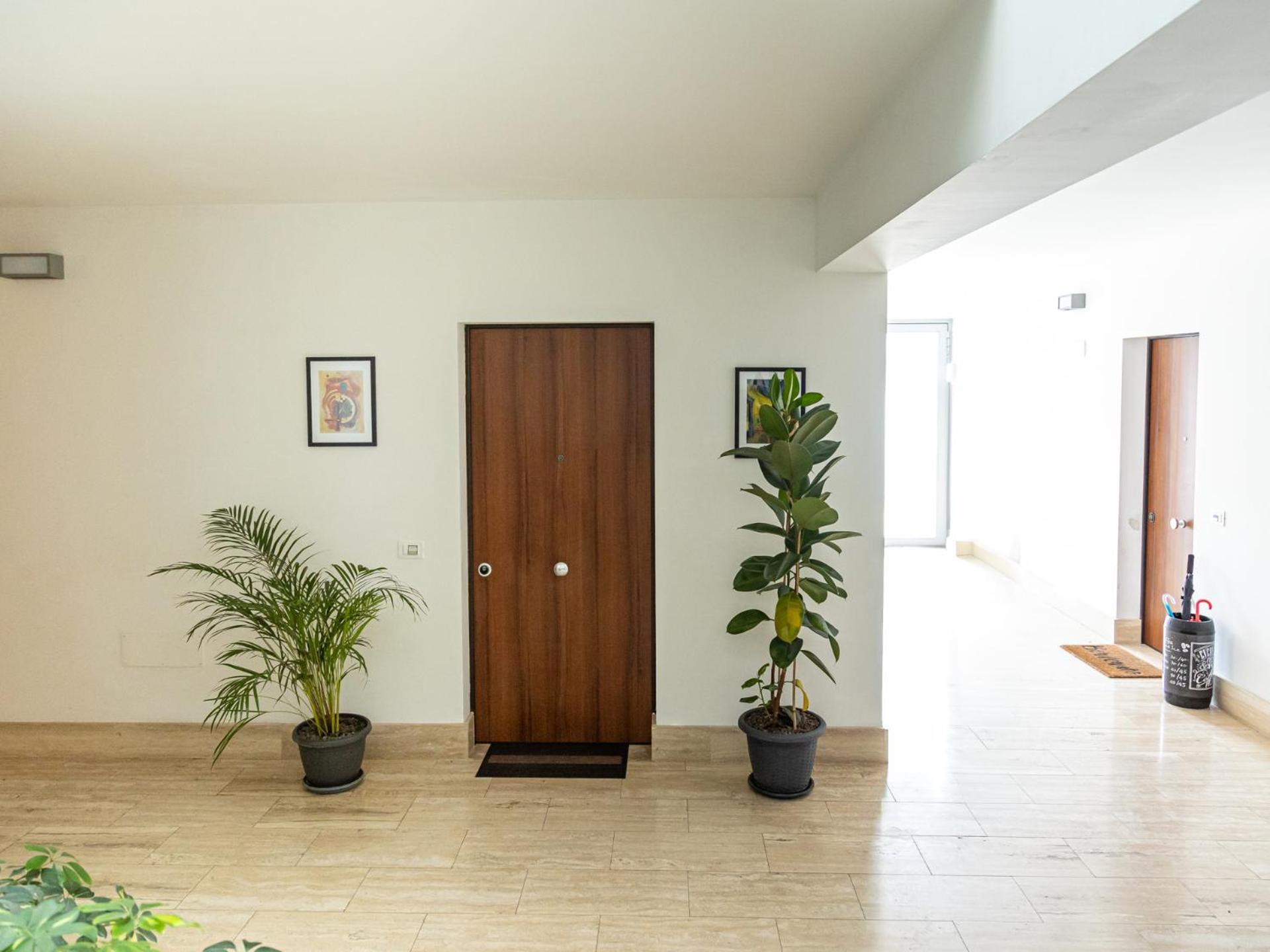 Mrb Real Estate - Maison Ludovica - Monolocale Moderno Con Giardino Frattocchie Exteriör bild
