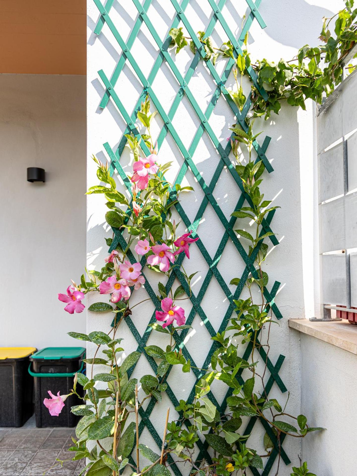 Mrb Real Estate - Maison Ludovica - Monolocale Moderno Con Giardino Frattocchie Exteriör bild